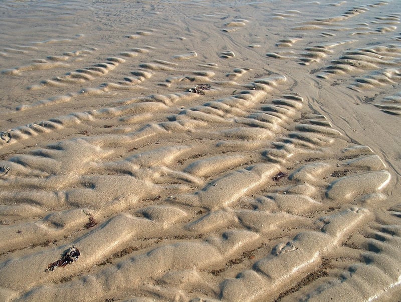 Exploration and discovery